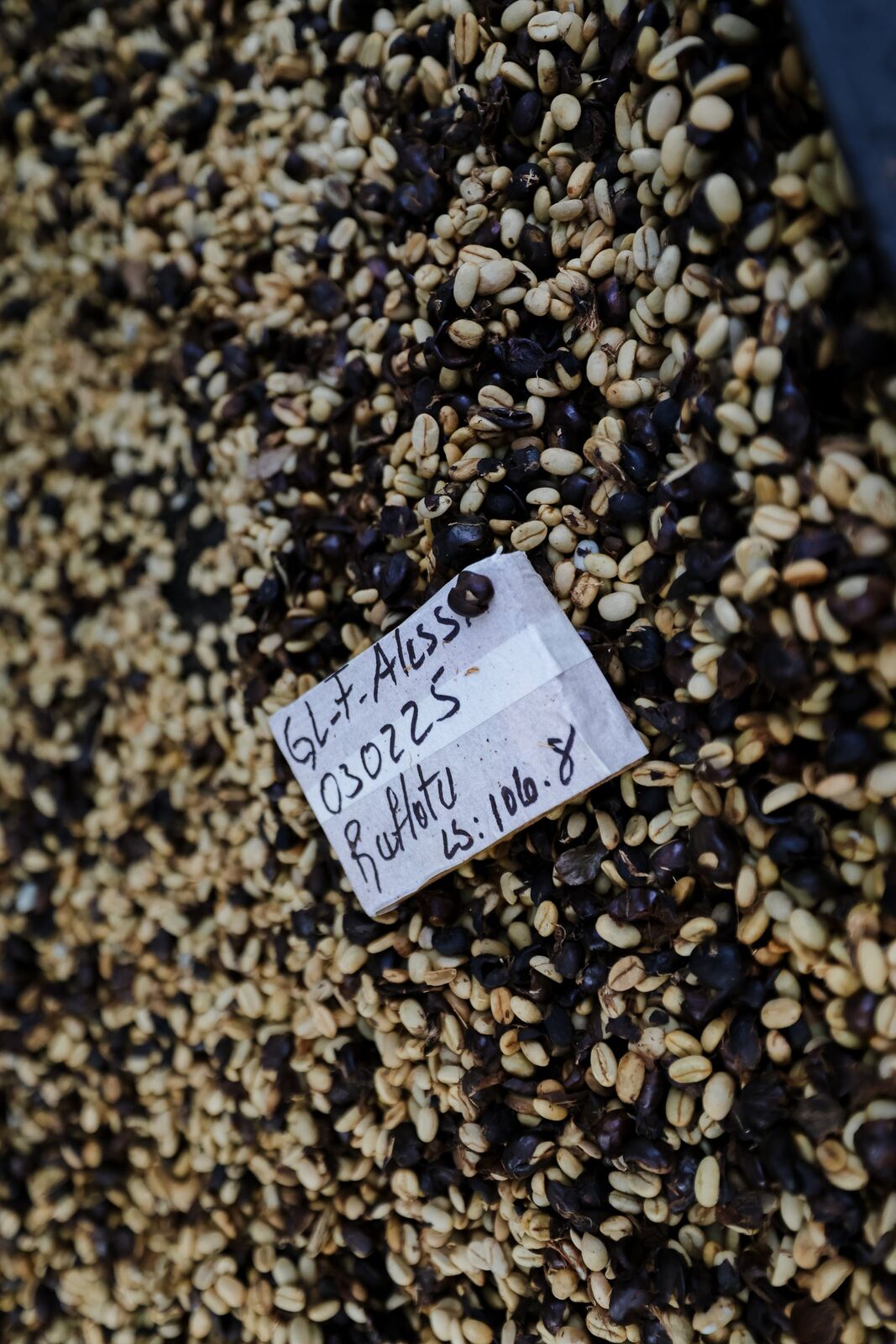 Green coffee beans with a lot tag